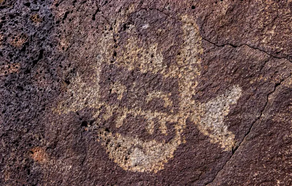 Картинка камень, древность, New Mexico, петроглифы