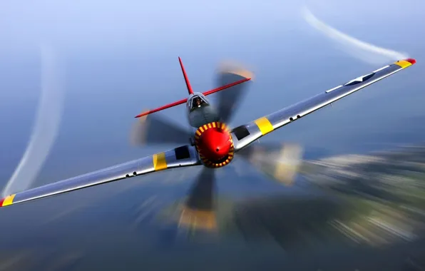 Mustang, USA, fighter, P-51, WWII