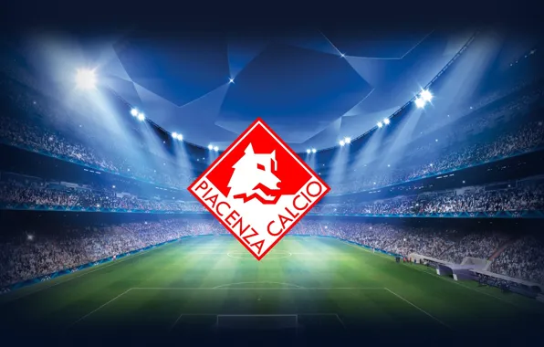 Wallpaper, stadium, football, UEFA Champions League, Piacenza Calcio