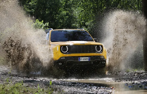 2018, Jeep, Trailhawk, Renegade