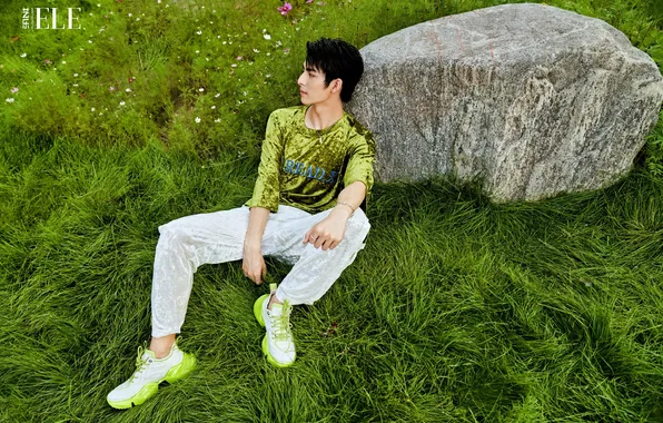 Трава, камень, Китай, профиль, парень, сидит, китайский актёр, Wang Hao Xuan