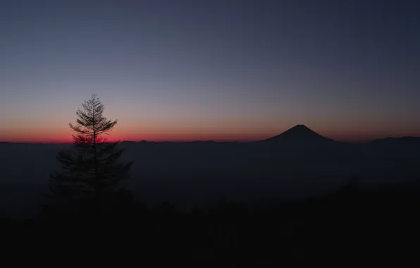 Картинка небо, дерево, гора, Япония, горизонт, зарево, Фудзияма