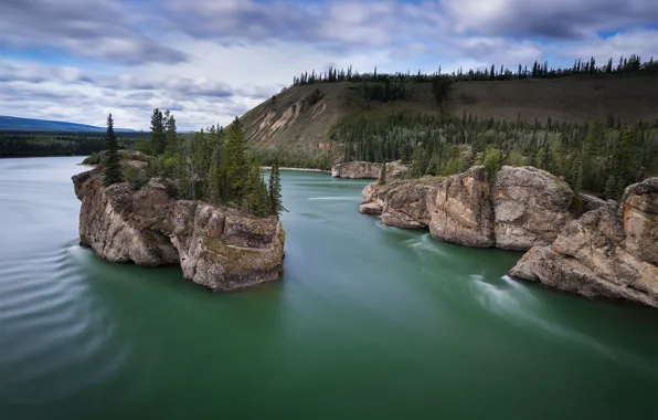 Картинка деревья, река, скалы, Канада, Canada, островок, Yukon, Юкон