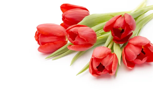 Картинка цветы, букет, red, fresh, pink, flowers, beautiful, romantic
