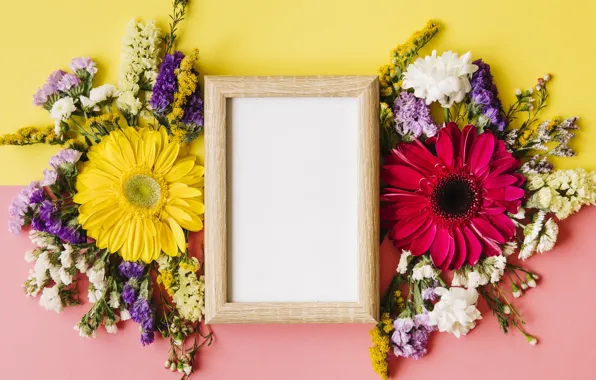 Цветы, весна, рамка, colorful, хризантемы, wood, flowers, spring