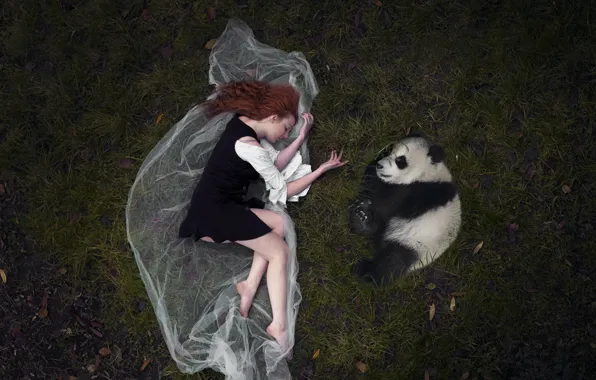 Картинка девушка, фон, панда
