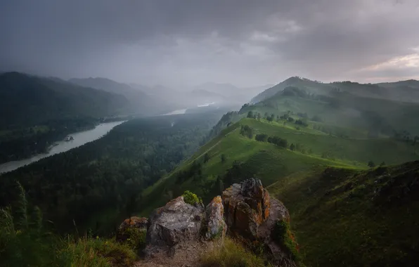 Картинка лес, горы, туман, река, камни, пасмурно, холмы, долина