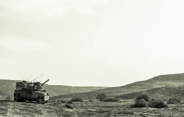 Картинка поле, природа, танк, боевой, основной, Merkava, Израиля, «Меркава»