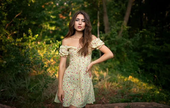 Картинка девушка, forest, trees, nature, model, brunette, plants, standing