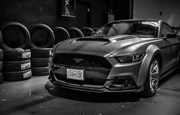 Картинка Ford, Ford Mustang, Widebody, Ford Mustang Widebody