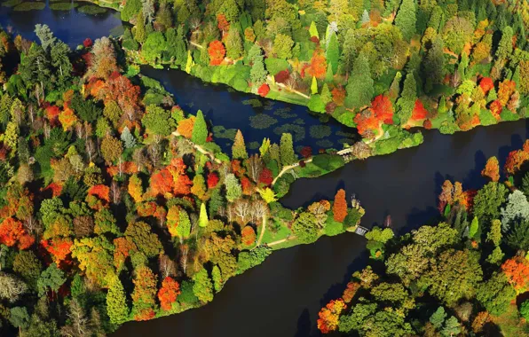 Осень, деревья, краски, Англия, панорама, Сассекс, парк Шеффилд