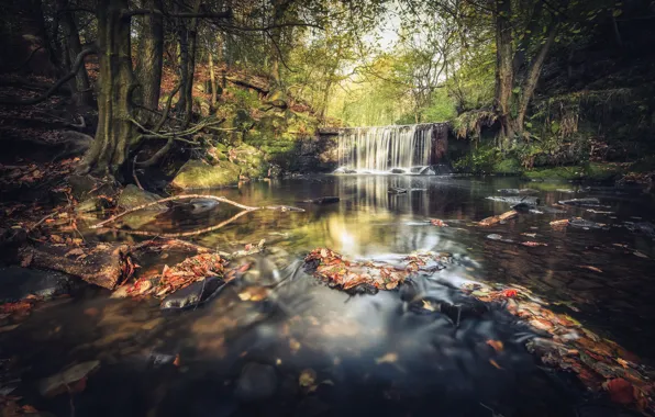 Картинка осень, река, водопад