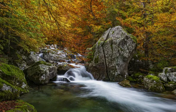 Осень, лес, скалы, берег, листва, водопад, поток, краски осени