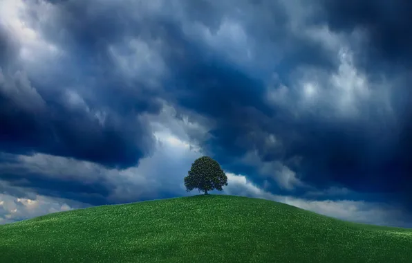 Зелень, небо, дерево, холм
