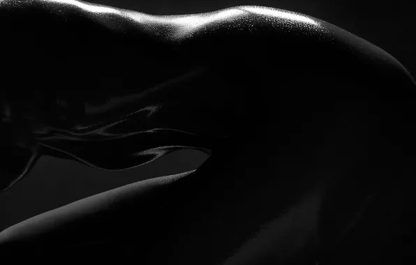 Фото, Waclaw, Wantuch