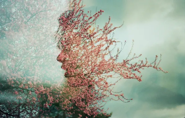 Картинка лицо, дерево, весна, цветки, Úna, двойная экспозиция, double exposure