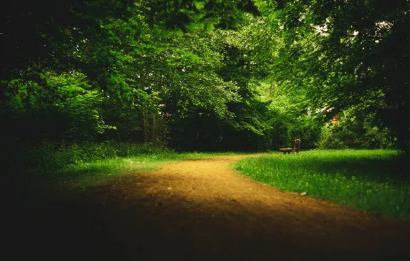 Картинка парк, аллея, тропинка, скамья