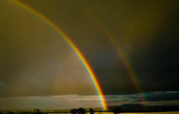 Rainbow, field, landscape