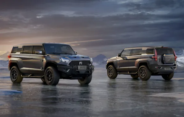 Внедорожник, SUV, две автомашины, M-Hero 917, Dongfeng Motor, M-Hero