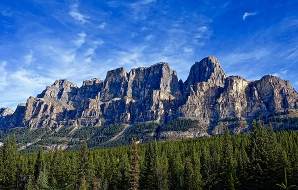 Картинка forest, sky, landscape, nature, mountains
