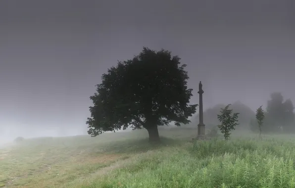 Картинка трава, туман, дерево, памятник