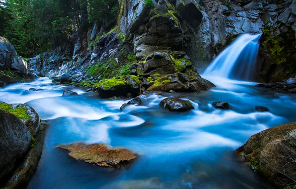 Лес, деревья, река, ручей, камни, водопад, Waterfall, Rainier National Park