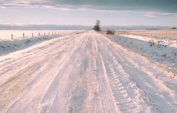 Картинка зима, дорога, поле, снег, природа, забор