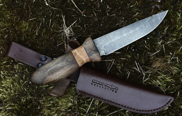 Картинка фон, мох, нож
