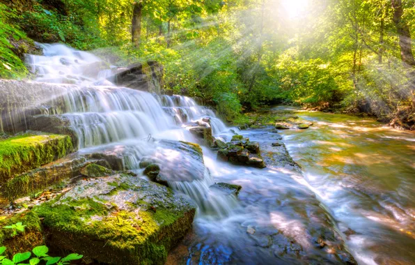 Лес, деревья, природа, камни, водопад, мох, лучи солнца