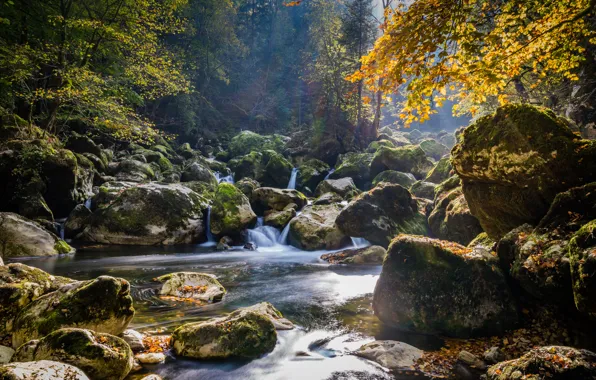 Картинка осень, лес, вода, природа, река, камни