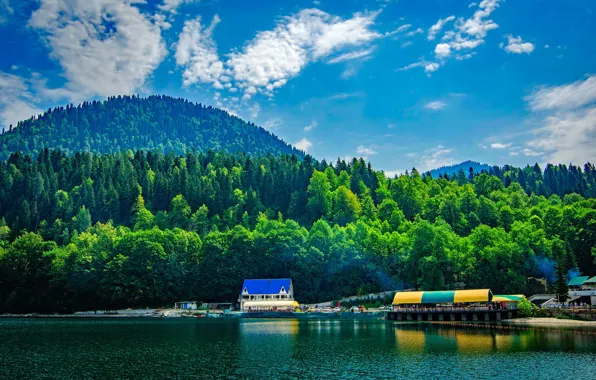 Картинка зелень, лес, лето, небо, солнце, облака, деревья, горы