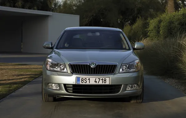 2008, седан, вид спереди, Škoda, Skoda, Octavia