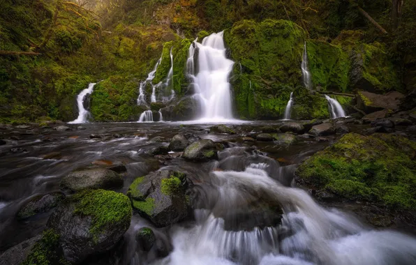 Лес, река, камни, водопад, мох, каскад, Columbia River Gorge, Washington State