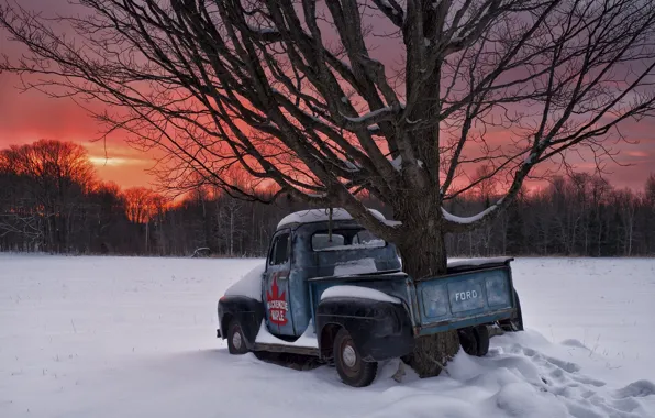 Картинка зима, снег, закат, дерево, Канада, Онтарио, Canada, пикап