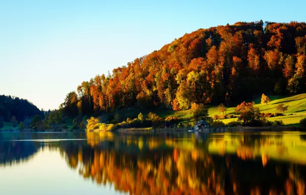 Картинка осень, пейзаж, природа, река, желтые деревья
