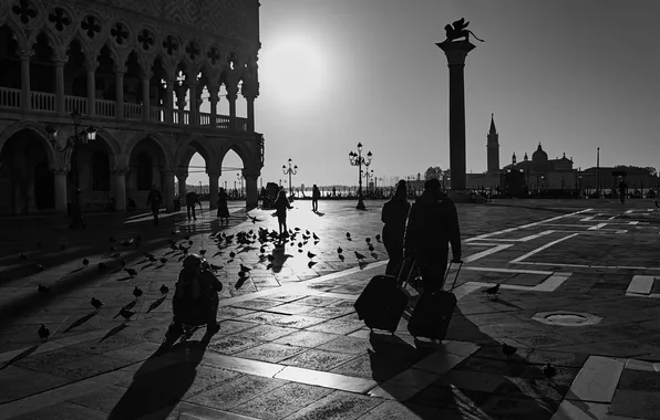 Люди, чёрно-белое, площадь, фотограф, голуби