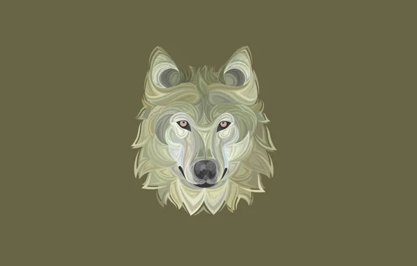 Морда, волк, собака, минимализм, голова, wolf