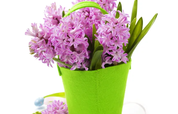 Картинка цветы, фон, ваза сумочка, фиолетовые Гиацинты