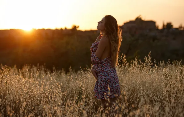 Картинка поле, девушка, силуэт, локоны, EIKONAS, Memory Of Summer Sunsets