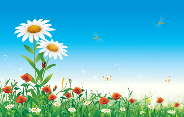 Картинка лето, небо, цветы, насекомые, природа, ромашки, вектор
