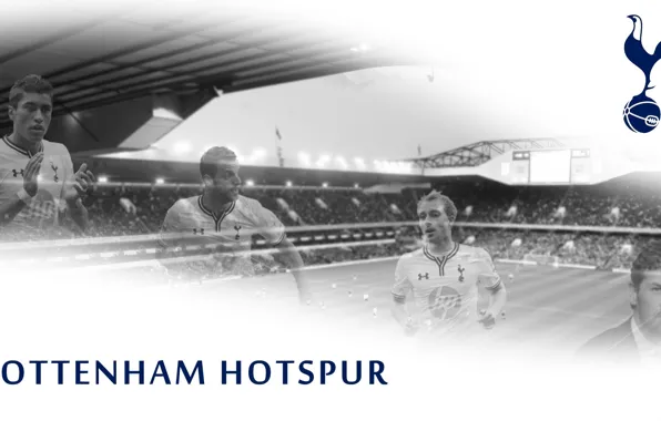 Wallpaper, sport, logo, stadium, football, England, Tottenham Hotspur, White Hart Lane