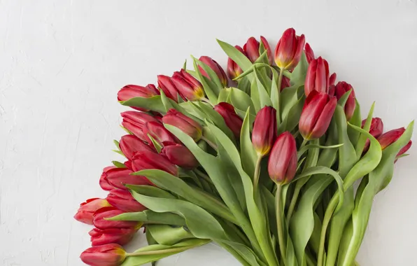 Картинка цветы, букет, тюльпаны, красные, red, flowers, beautiful, romantic