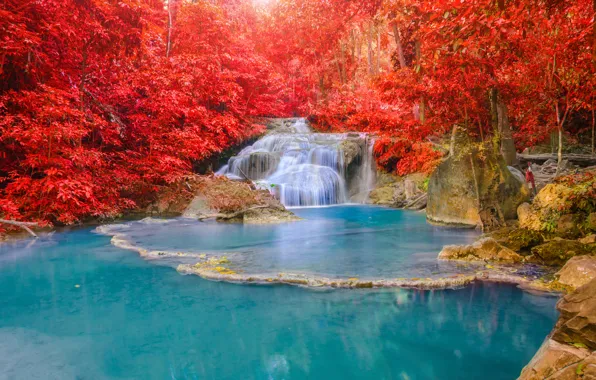 Картинка осень, лес, пейзаж, водопад, forest, nature, water, autumn