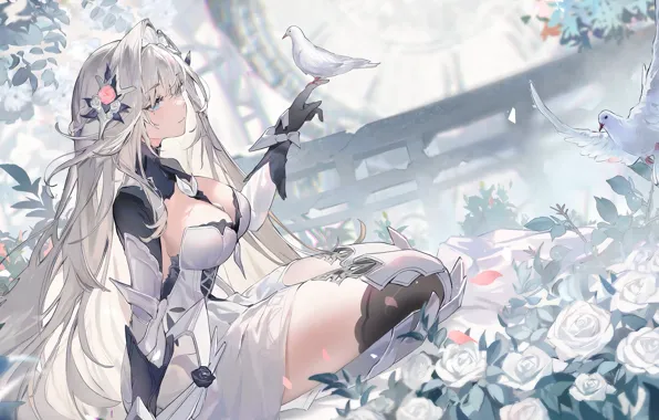 Голубь, красота, аниме, жест, белые волосы, anime, anime girls, аниме девушки