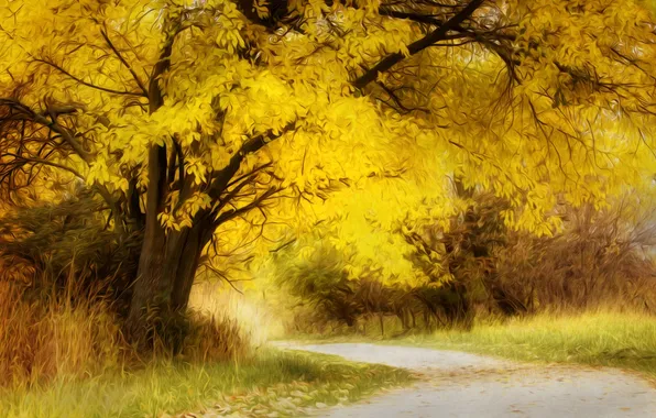 Картинка осень, лес, деревья, рисунок, арт