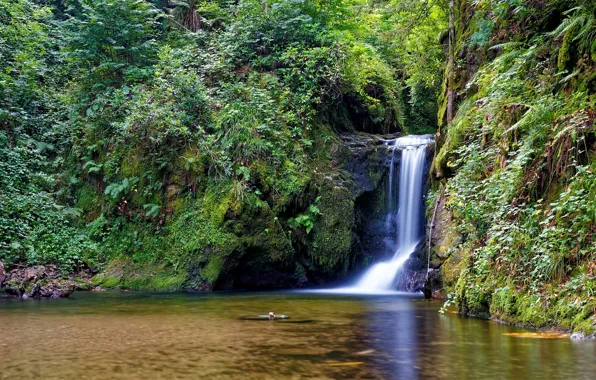 Природа, скала, водопад, Германия, Geroldsau Wasserfall