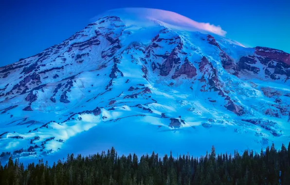 USA, United States, trees, mountain, snow, sunrise, Washington, Seattle