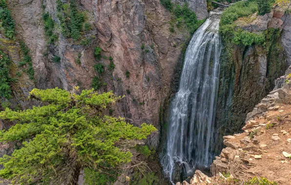 Картинка каньон, водопад, деревья, Clear Creek Falls, солнце, скалы, камни