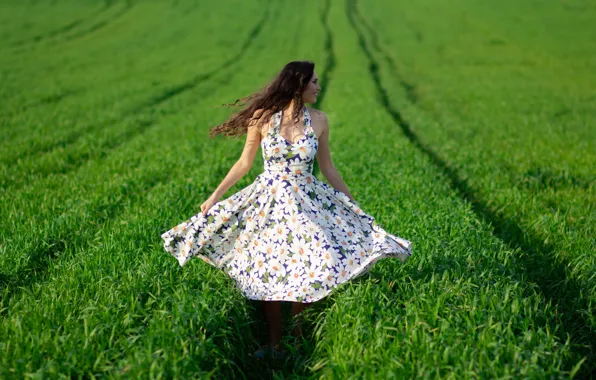 Картинка поле, лето, девушка, волосы, платье