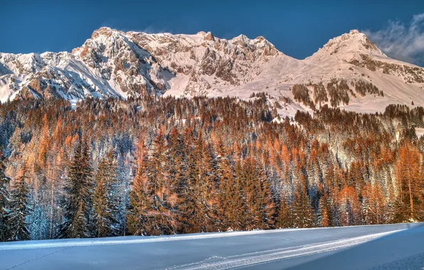 Картинка зима, лес, снег, деревья, горы